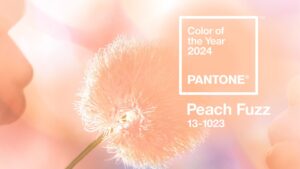 Read more about the article Pantone 2024 Color of the Year: Peach Fuzz